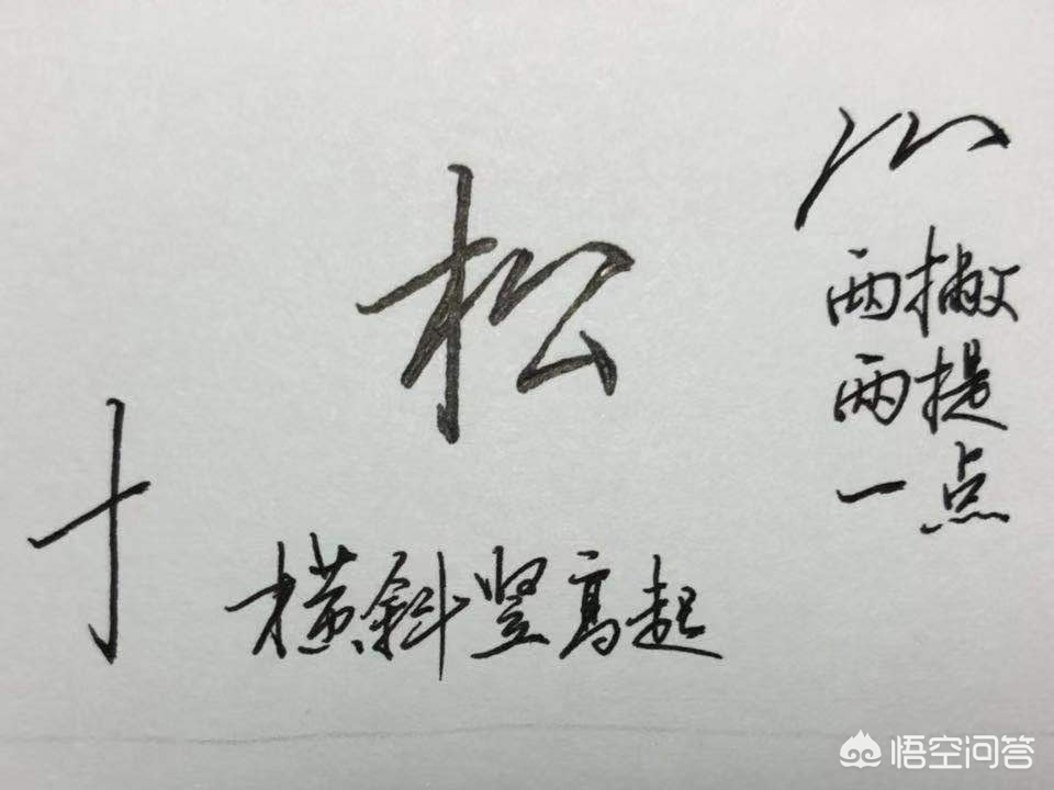 什么叫草书对照字体书写