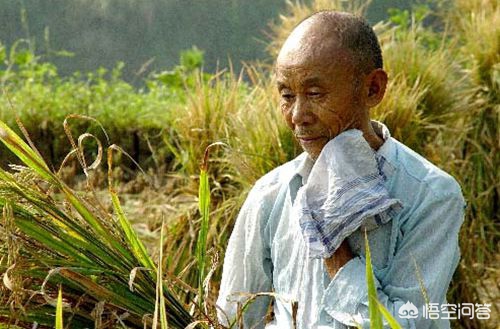 商业养老保险哪家保险公司好，商业养老保险哪家保险公司好些