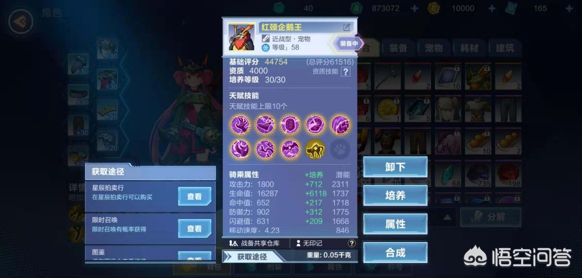 我的起源中，像斑马、迅羽龙这些宠物值得耗费功夫去抓吗？