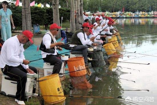 宝马鱼
