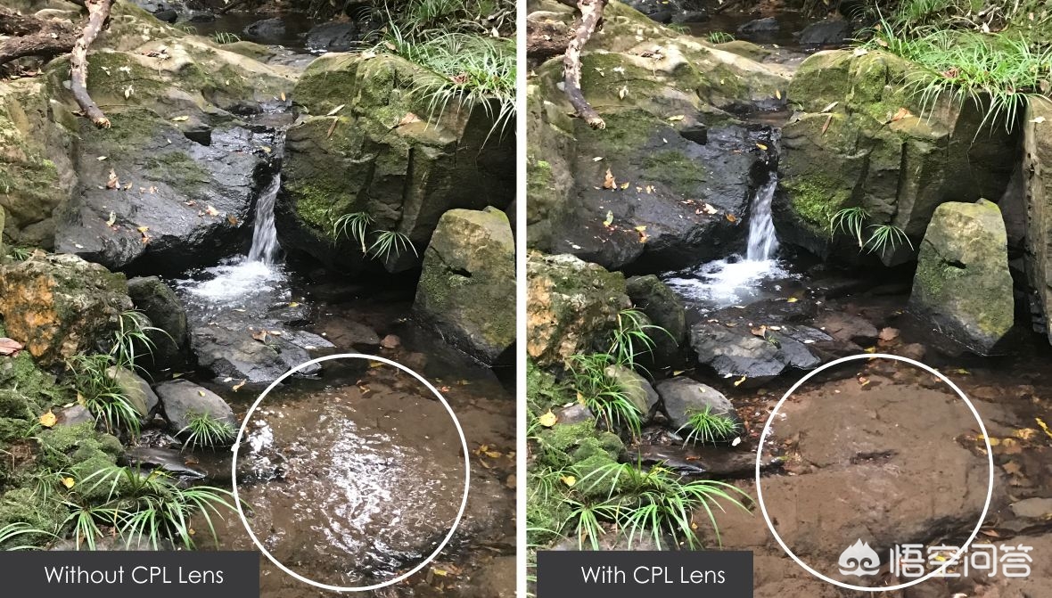 相机滤镜是干什么用的?:相机滤镜 相机滤镜是干什么用的?:相机滤镜