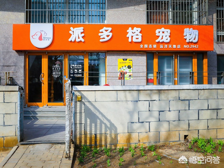 佛山美容app开发搭建