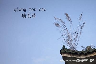 巴基斯坦总理表态（怎么看待巴基斯坦总理在联合国大会上声称，后悔与美国结盟呢？）