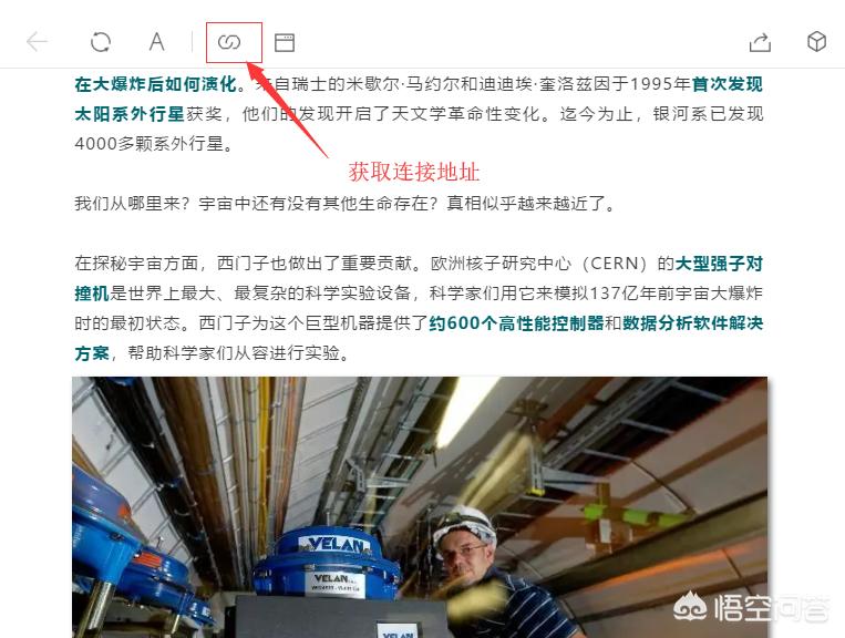 怎么用中文域名搭建网站