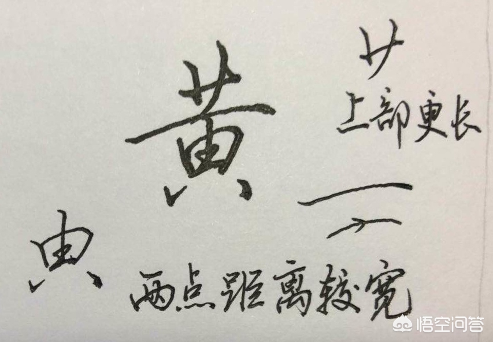什么叫草书对照字体书写