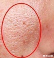 上万蜜蜂进家里筑巢