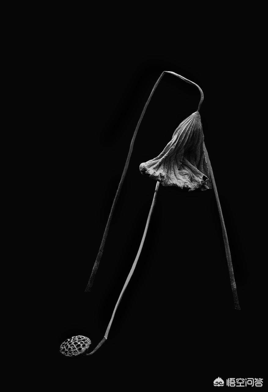 [黑色壁纸全黑]电脑屏幕总是自动变成黑色背景？