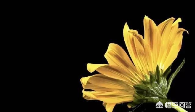 [黑色壁纸全黑]电脑屏幕总是自动变成黑色背景？