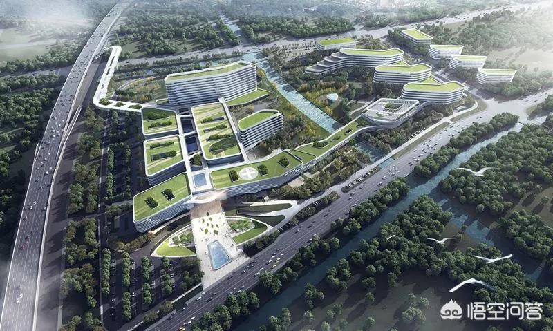 宁波市养老保险哪个好