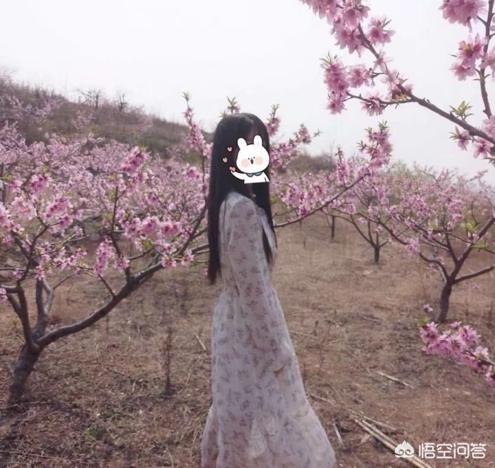 淘宝上婚庆床上用品哪家好，淘宝上婚庆床上用品哪家好一点