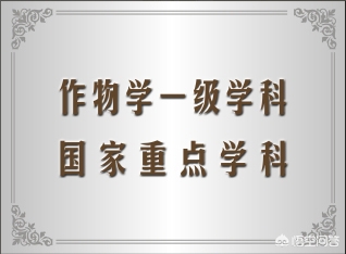 河南渑池赵庄怎么样 河南渑池赵庄怎么样
