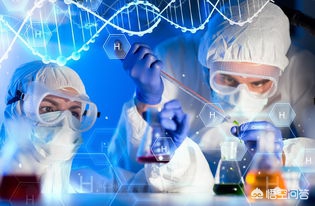 该不该放弃海外生活，该不该放弃海外生活呢