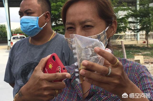 街头美食泰国生活路边摊海外生活，泰国路边摊小吃有哪些