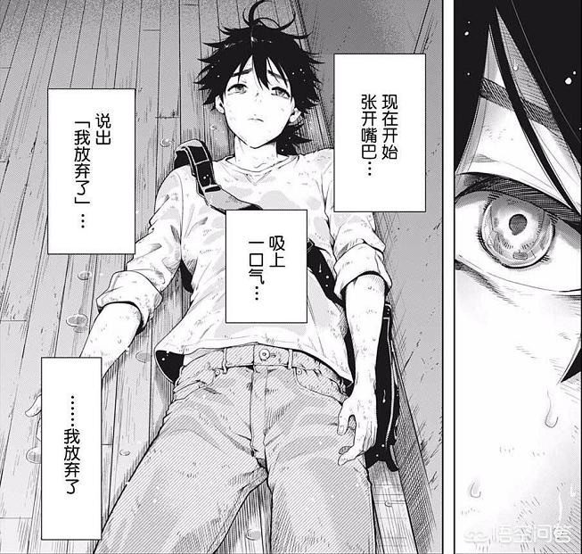 漫画连载，海贼王漫画连载