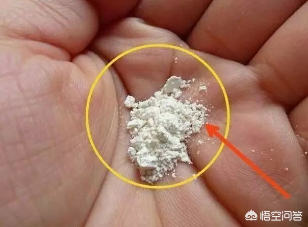 电水壶如何去除水垢五种方法让你轻松去水垢?:电水壶怎么除水垢 电水壶如何去除水垢五种方法让你轻松去水垢?:电水壶怎么除水垢