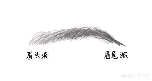 怎么提高化妆的技巧
