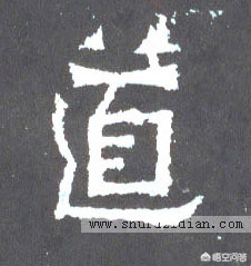 走字符草书有哪些字体