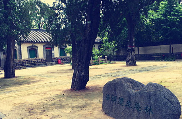 济南市井文化公司怎么样