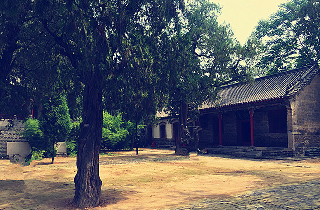 济南市井文化公司怎么样