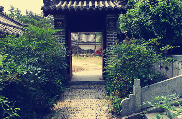 济南市井文化公司怎么样