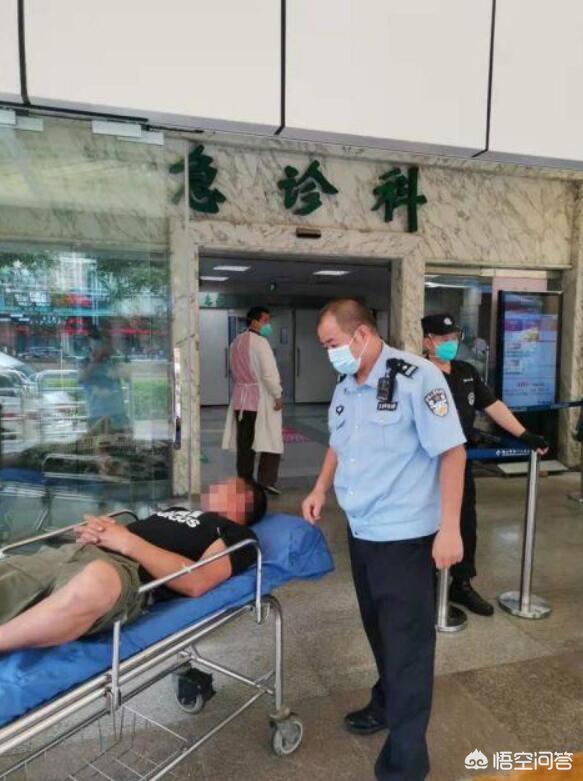 救助眼镜蛇反被咬伤