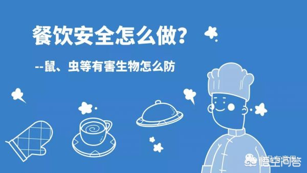 后厨操作间发现老鼠屎怎样处罚？：服务区餐厅有老鼠