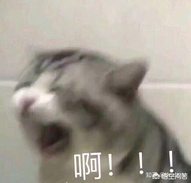 开发交友app