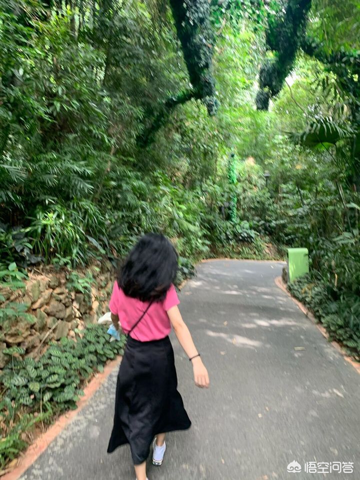 最好用的洗发水(洗发水什么牌子好用味道好闻?) 最好用的洗发水(洗发水什么牌子好用味道好闻?)