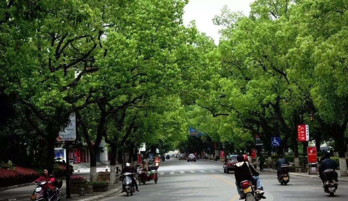 为什么桂林作为旅游城市，在市区却见不到一座高楼？