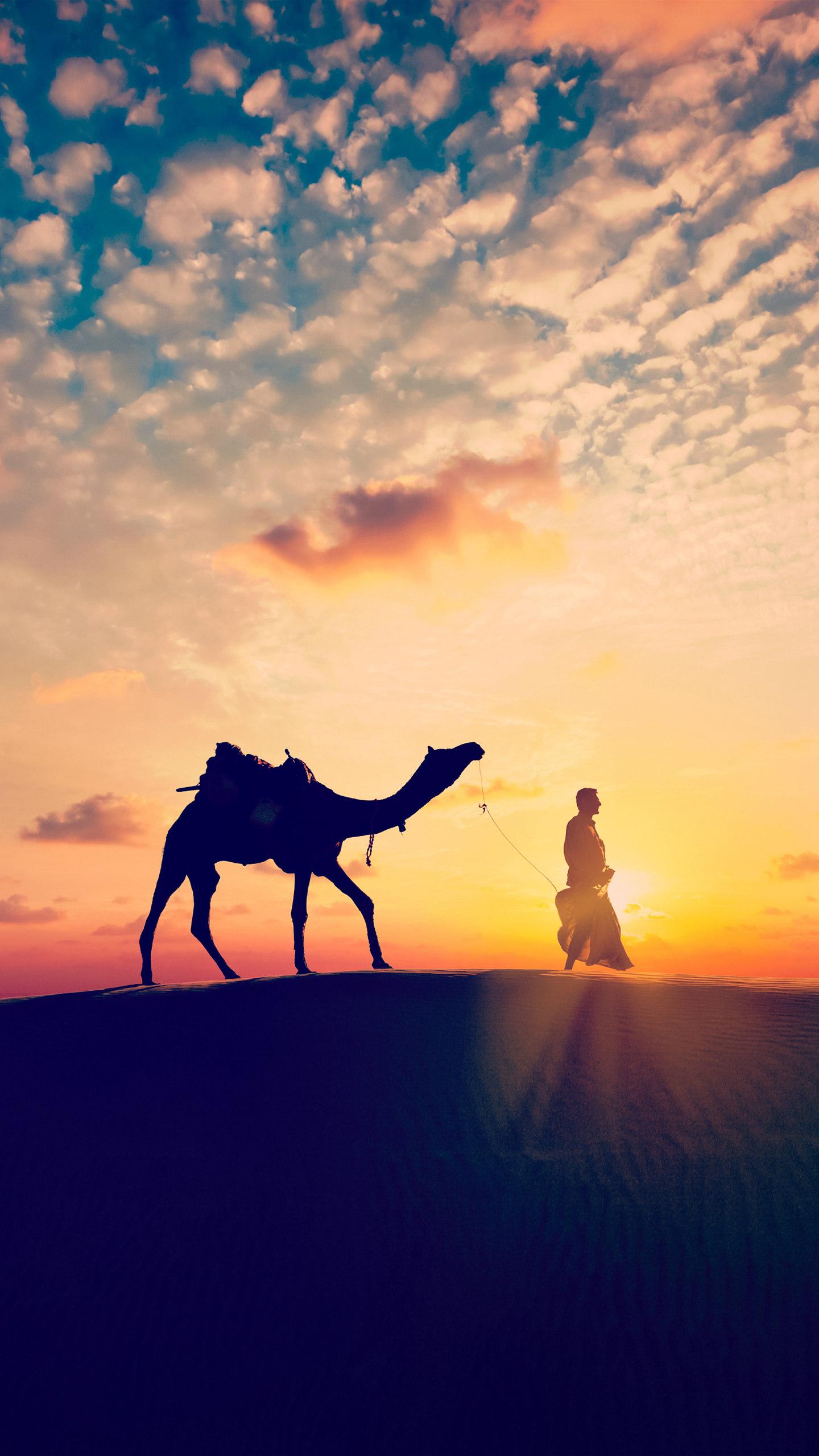 收钱码（什么是收款码？）