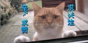 电脑怎么玩手游(手游怎么在电脑上玩?) 电脑怎么玩手游(手游怎么在电脑上玩?)