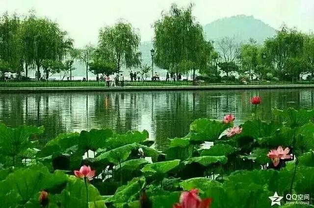 苏州常熟市区哪里有早茶