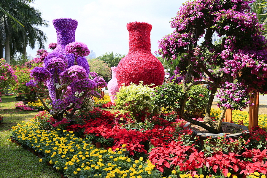 深圳市花是什么？