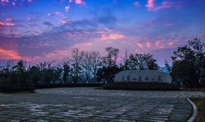 合肥市风景怎么样啊图片
