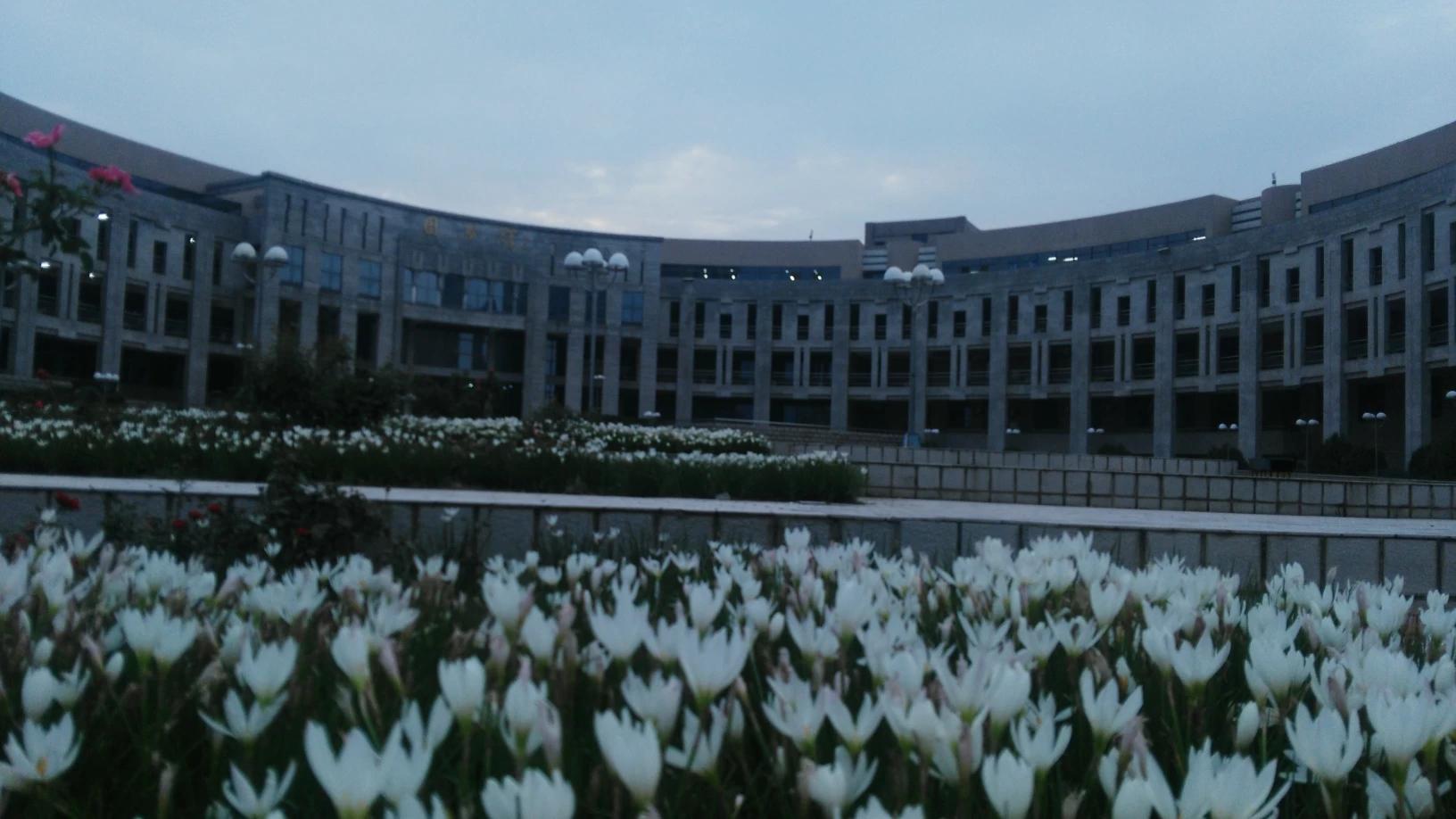 洛阳理工学院与洛阳师范学院哪个好？-图2