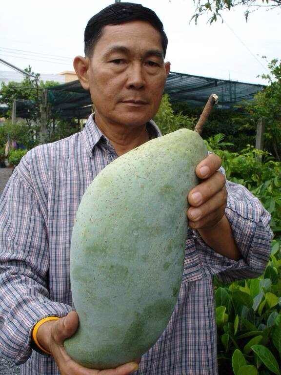 手机壁纸制作网站推荐,如何生成图片网址?