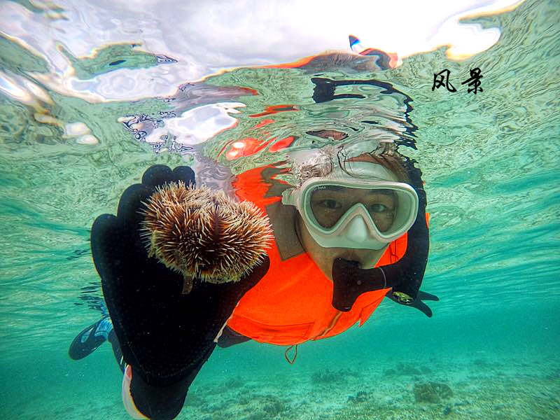 青岛蜜月婚纱摄影，青岛蜜月婚纱摄影怎么样