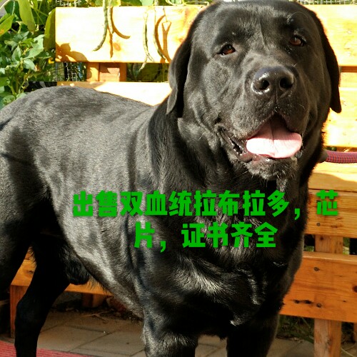 无锡市哪里可以做dna检查 无锡市哪里可以做dna检查