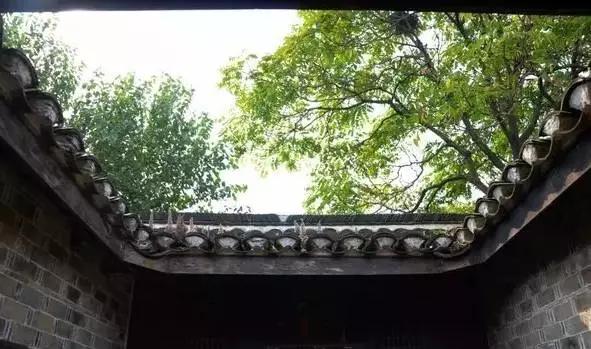 合肥市乐活街是哪个区 合肥市乐活街是哪个区