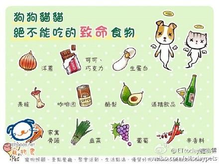 小狗的声音是什么?:小狗的 小狗的声音是什么?:小狗的