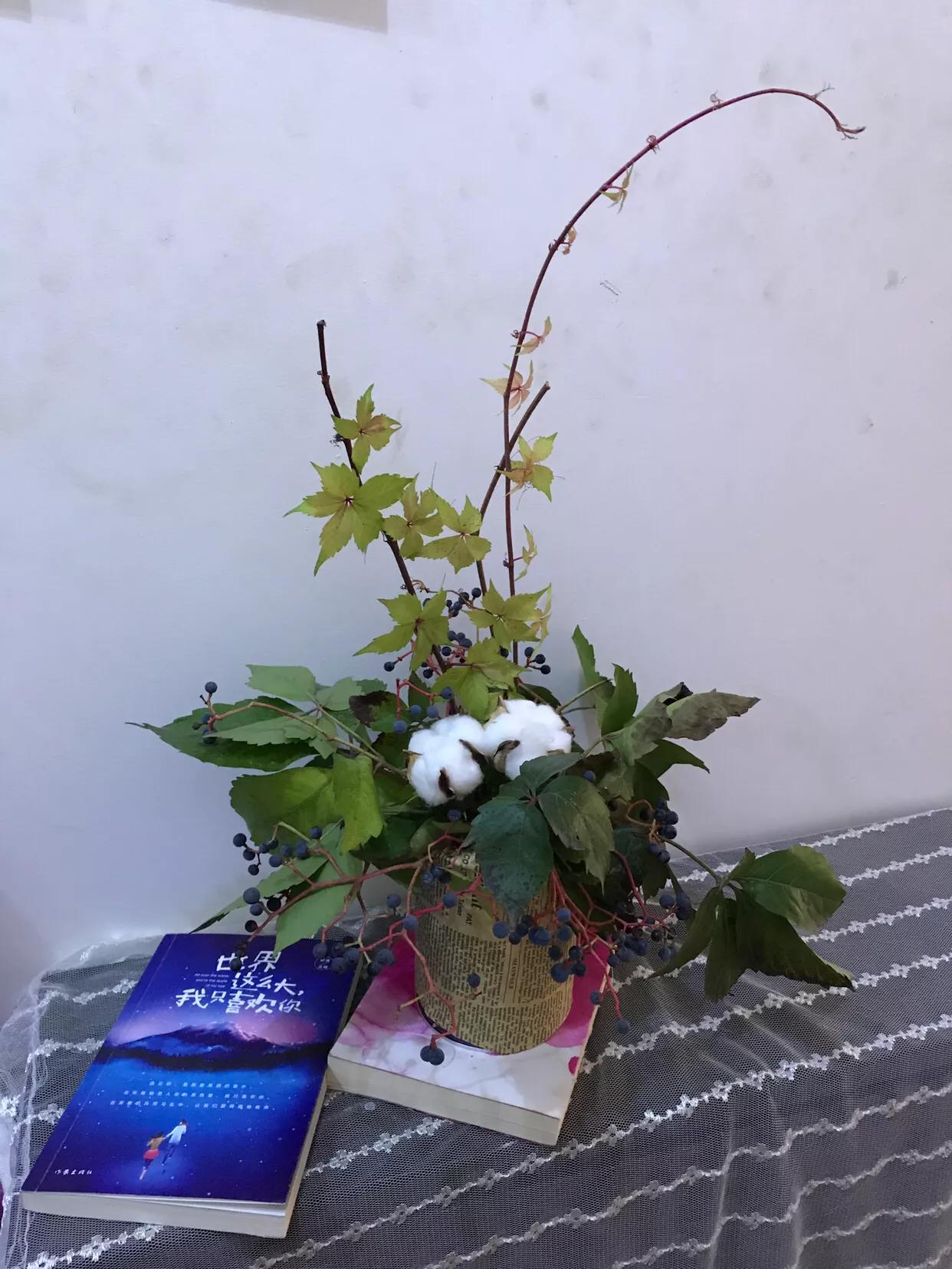 [蓝藤卫浴]蓝藤卫浴属于几线品牌？