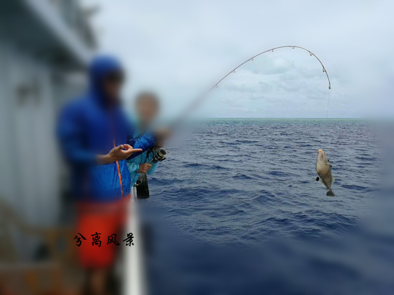 青岛蜜月婚纱摄影，青岛蜜月婚纱摄影怎么样