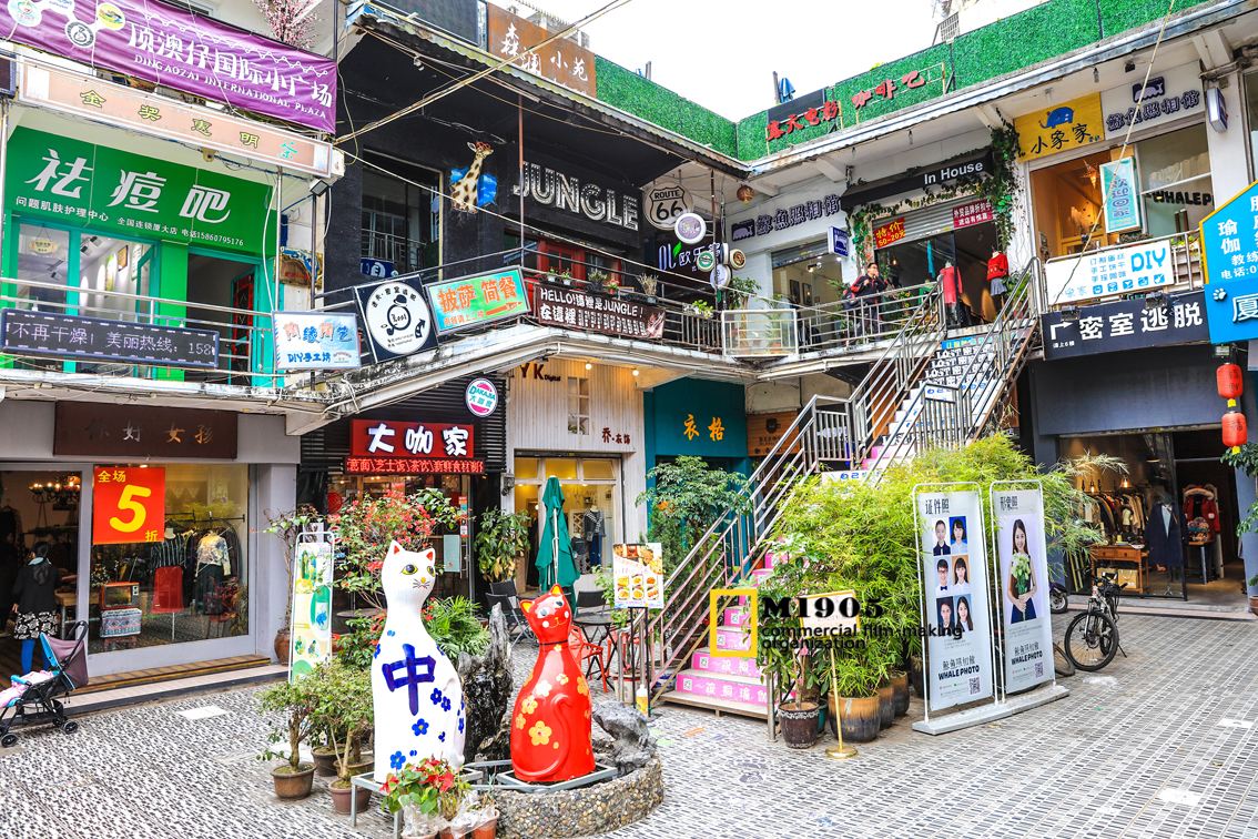 你为何还留在厦门？