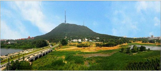 合肥市风景怎么样啊图片