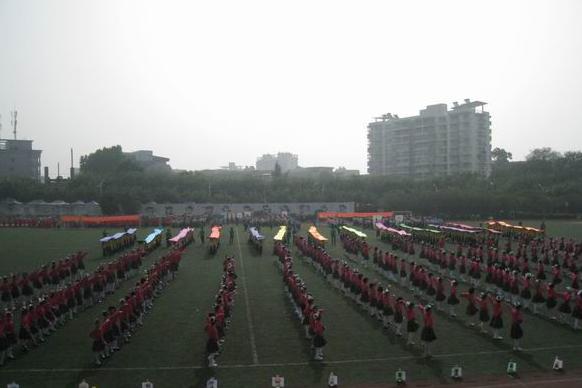 桂林市五所小学在哪里啊