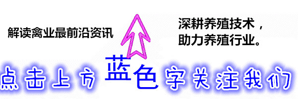 手机已进入智能化，为什么还要用SIM卡？：手机智能化高端化