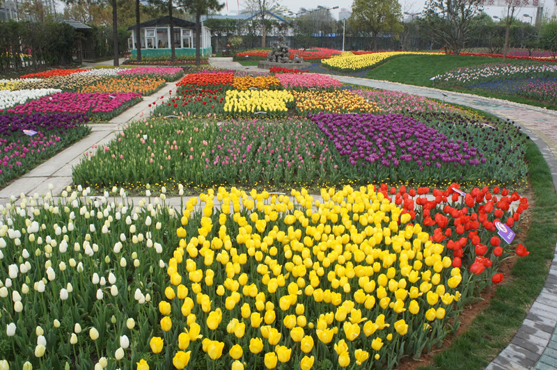 宁波市庄园楼怎么样