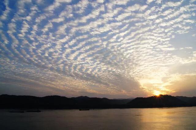 二手车师评估