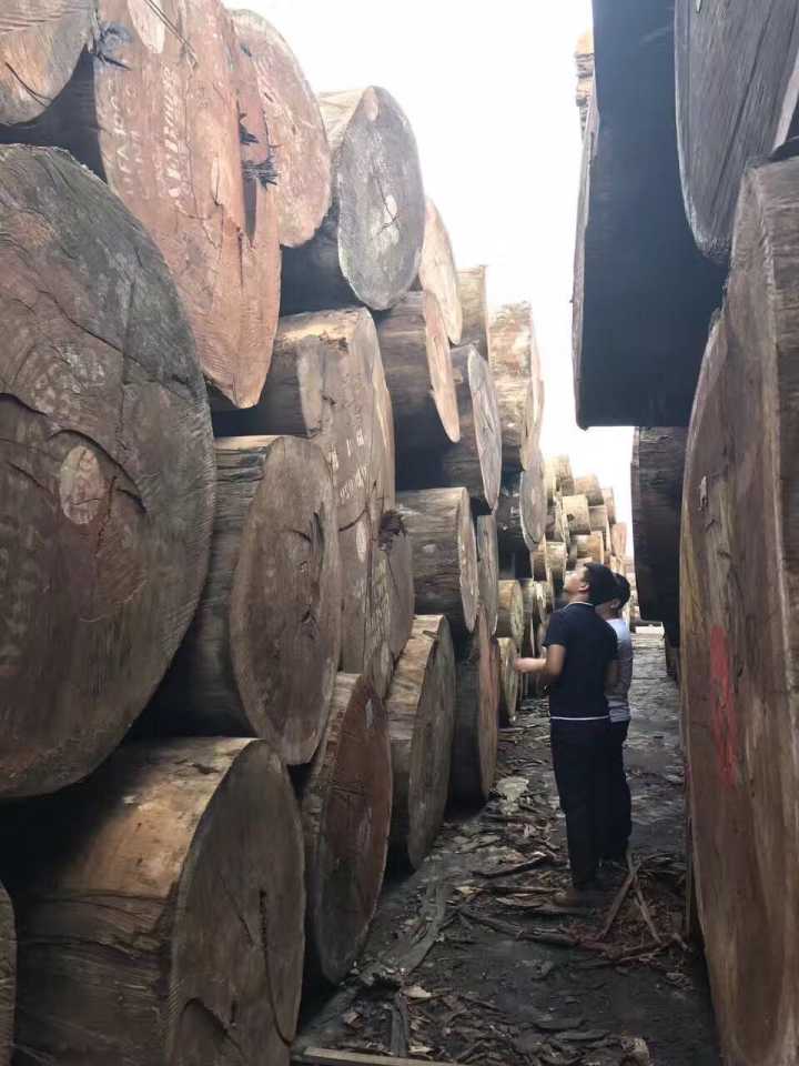 飘扬的海外生活在线观看，飘扬的海外生活在线观看高清
