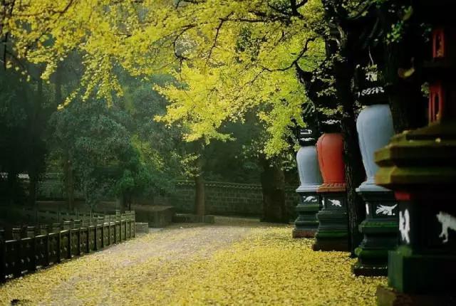 宁波市有什么免费的山 宁波市有什么免费的山